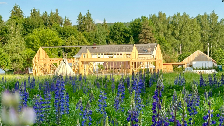 House Kojelaviciaus st., Vilnius II