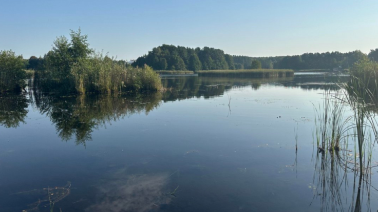 Duplex Raisiu st. 3C, Vilnius II