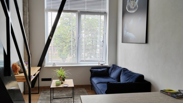 Lofts Savanoriu pr. 206B, Kaunas