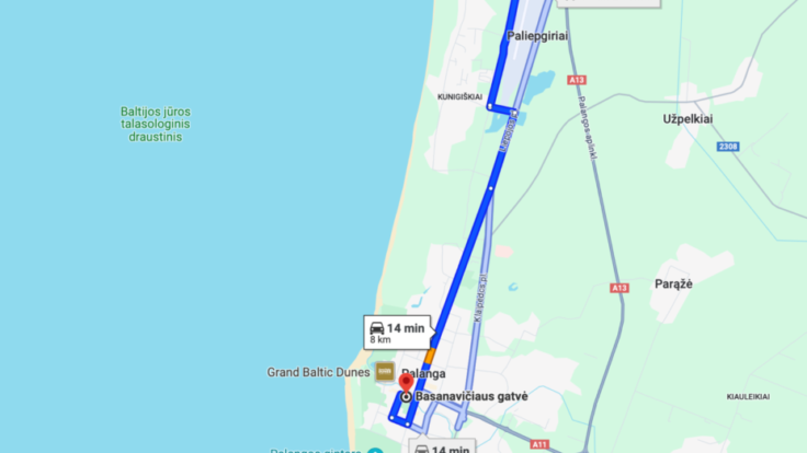 Apartments Vaivorykstes st., Palanga IV