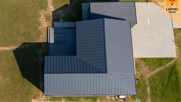 Biciuliu namai (Lapino namai) XXXV