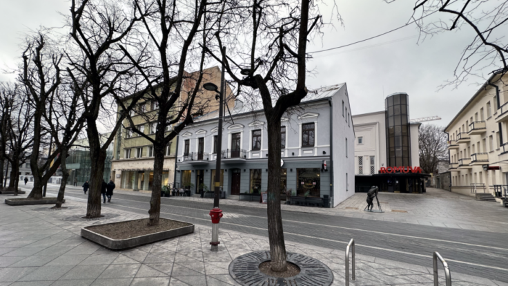 Hotel in Laisves Avenue VII