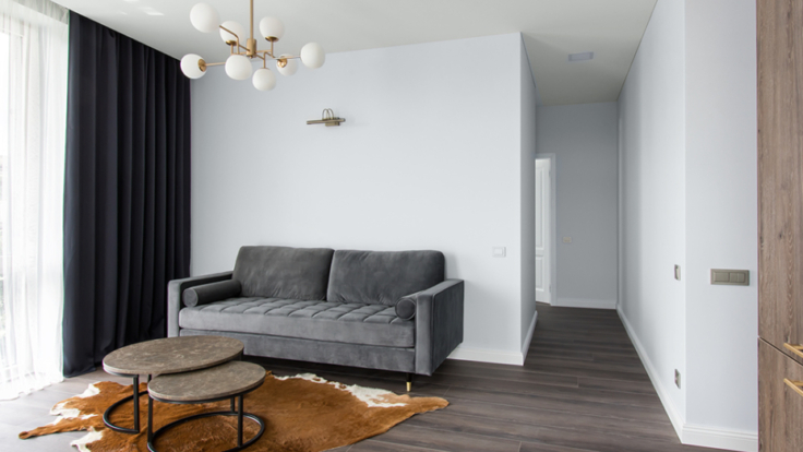 Apartment Peteliskiu St., Vilnius