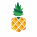 Abacashi