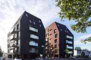 Twinhouse XII