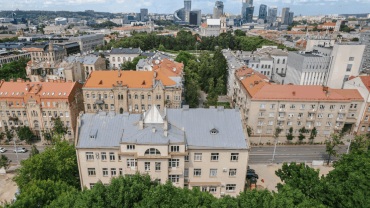 Premises at Pamenkalnio st., Vilnius III