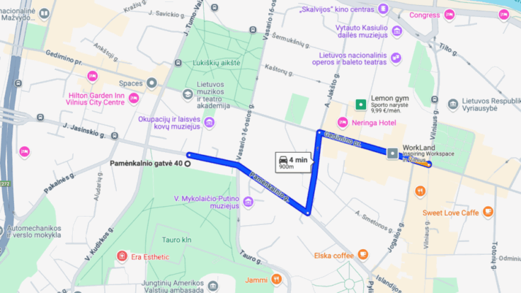 Premises at Pamenkalnio st., Vilnius III