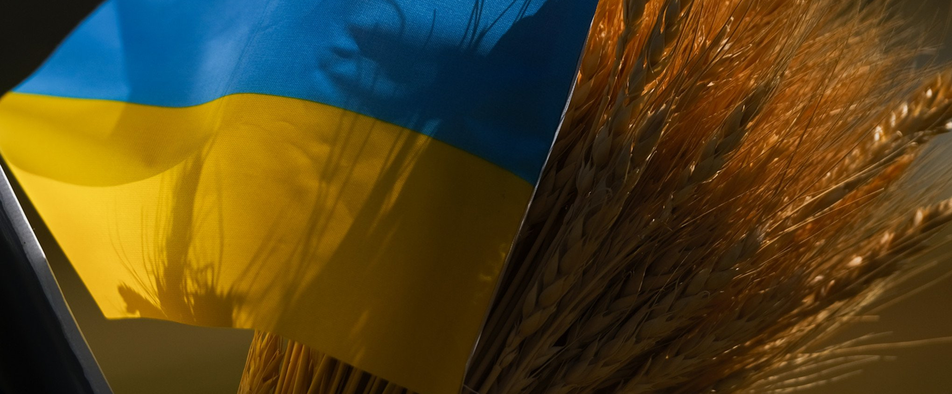 <p>Invest in <strong>Ukraine’s</strong> Future</p>
