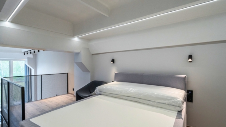 Senvages lofts, Panevezys