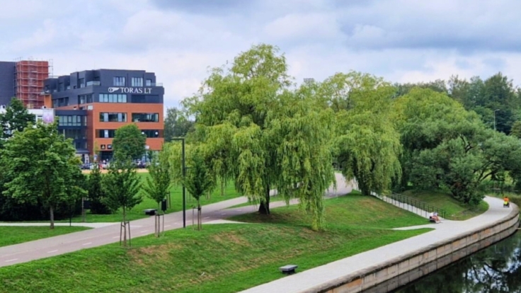 Senvages lofts, Panevezys III