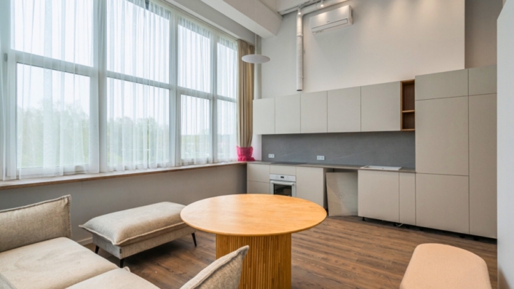 Senvages lofts, Panevezys III