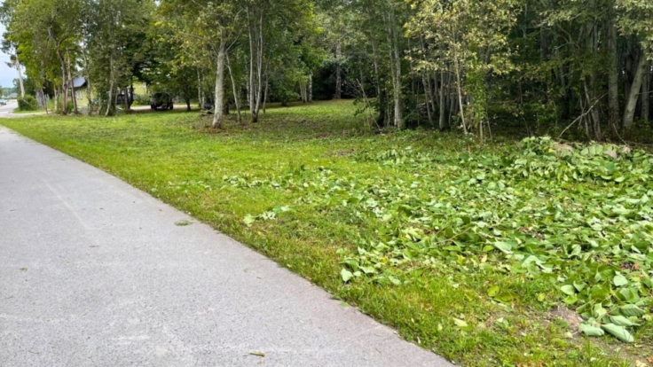 Land plots, Tallinn dist.