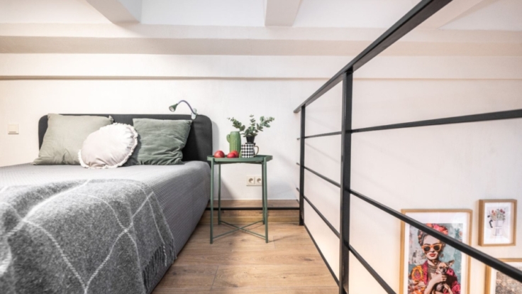 Lofts Naugarduko st., Vilnius