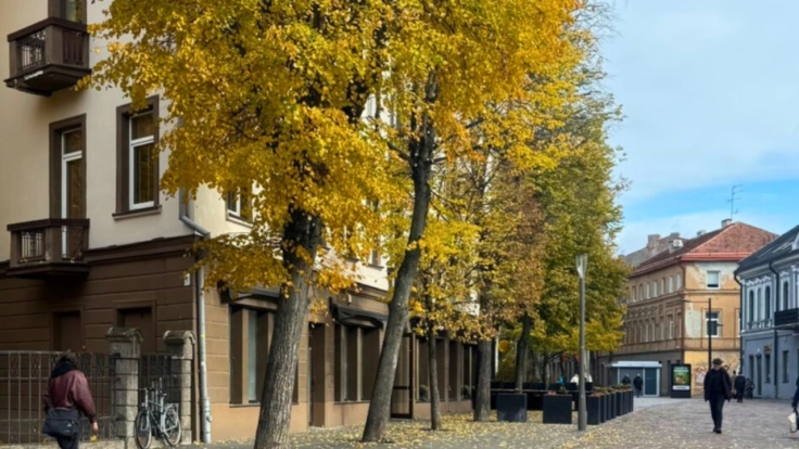 Premises at Vilniaus st., Kaunas