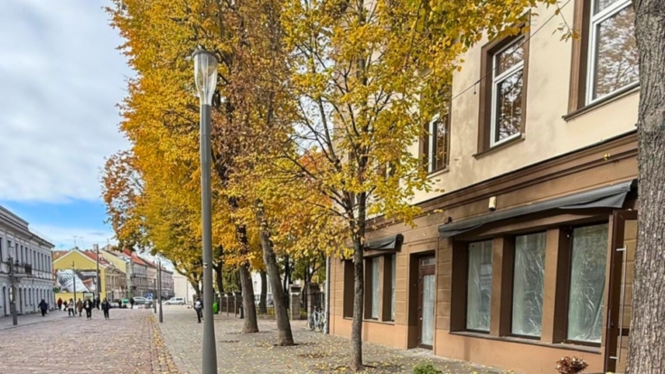 Premises at Vilniaus st., Kaunas