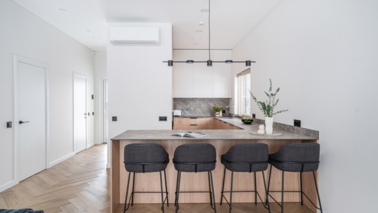 Apartment in Pavilnys, Vilnius II