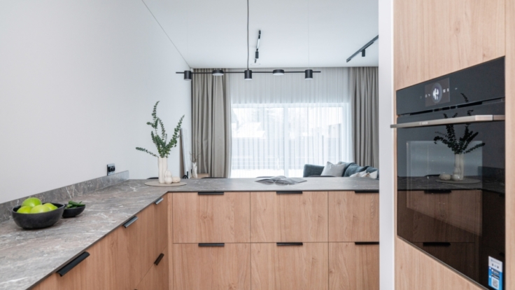 Apartment in Pavilnys, Vilnius III