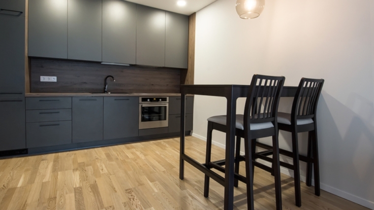 Apartments in Central Part of Vilnius