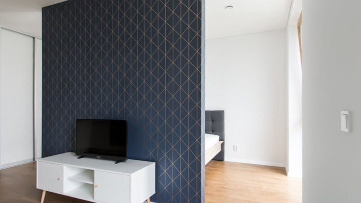 Apartments in Central Part of Vilnius