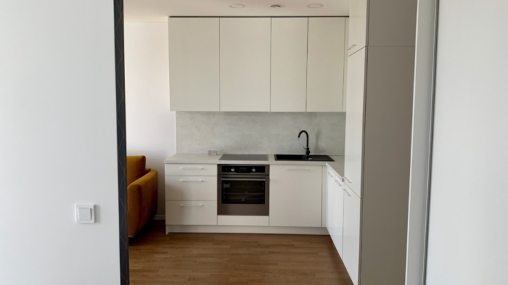 Apartments in Central Part of Vilnius