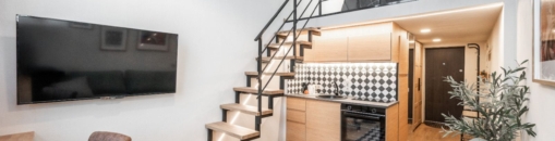 Lofts Naugarduko st., Vilnius II