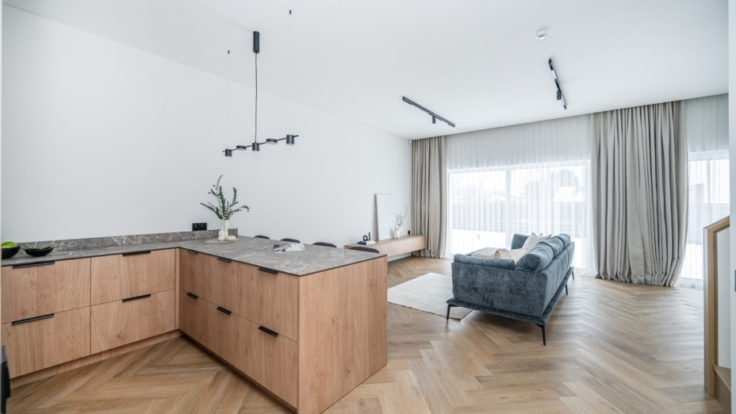 Apartment in Pavilnys, Vilnius IV