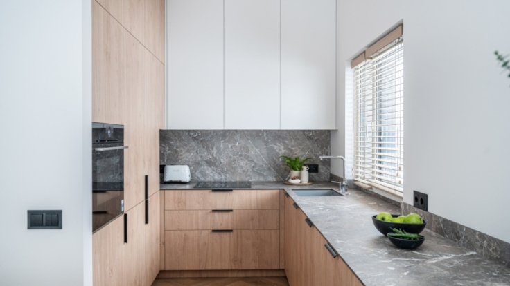 Apartment in Pavilnys, Vilnius IV