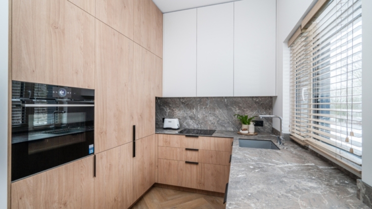 Apartment in Pavilnys, Vilnius IV