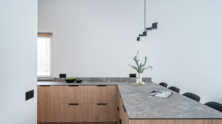 Apartment in Pavilnys, Vilnius IV