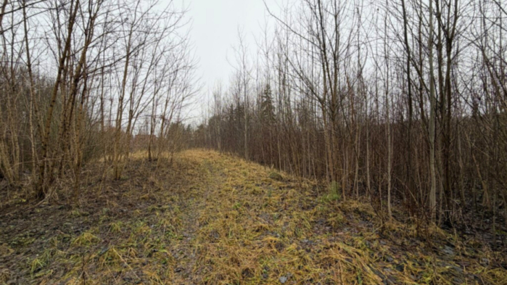 Land Plot Sietyno st., Vilnius II