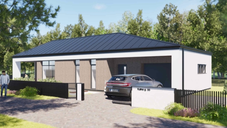 Single-family houses near Vilnius