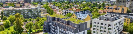 CITUS City Chords VIII