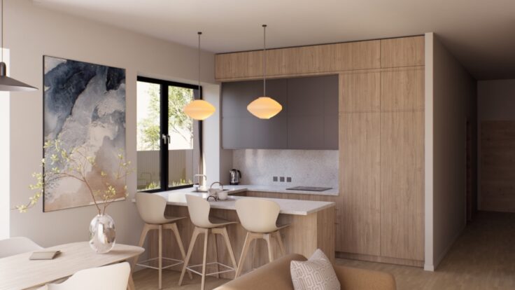 Duplex in Didzioji Riese, Vilnius III