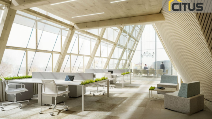 Terrain à Zverynas, Vilnius II