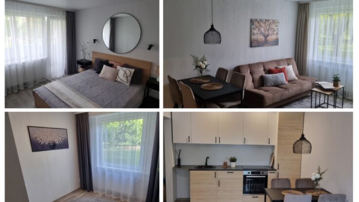 Apartment in der Architektu Str., Vilnius