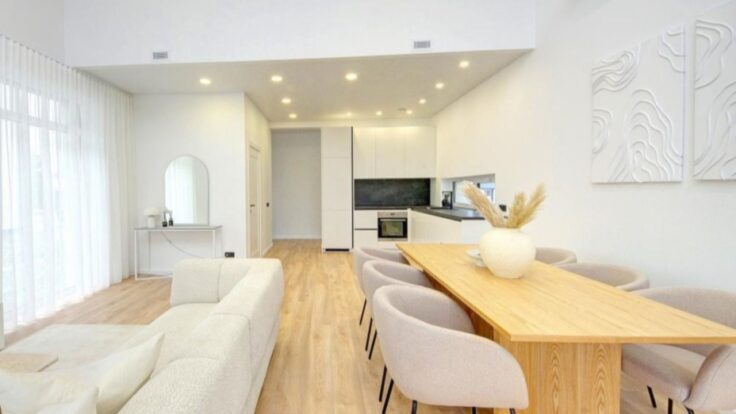 Duplex in the Vilnius district III