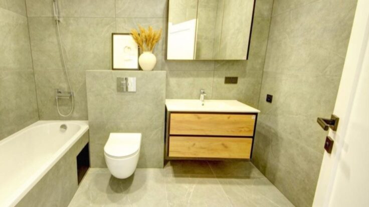 Duplex in the Vilnius district III