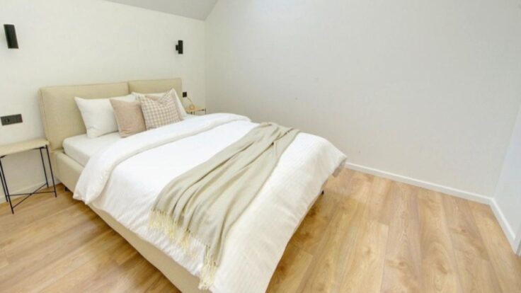 Duplex in the Vilnius district III