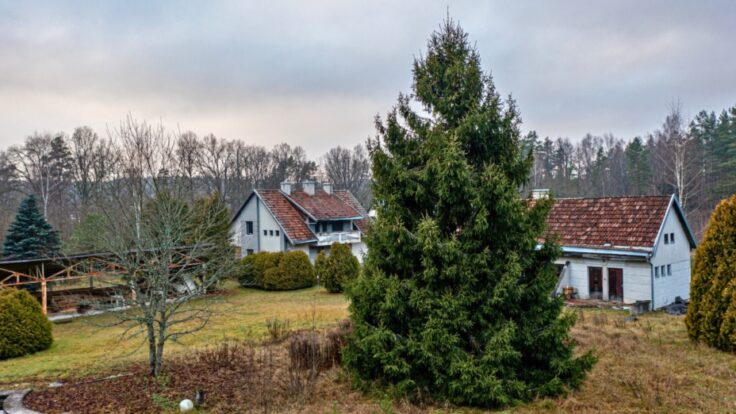 Maisons par les Neris, District de Vilnius.