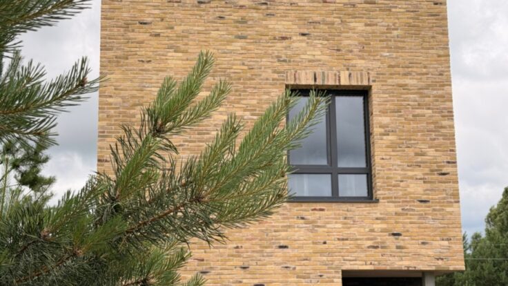 Maisons unifamiliales près de Vilnius VI